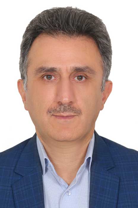 حسن محمدی